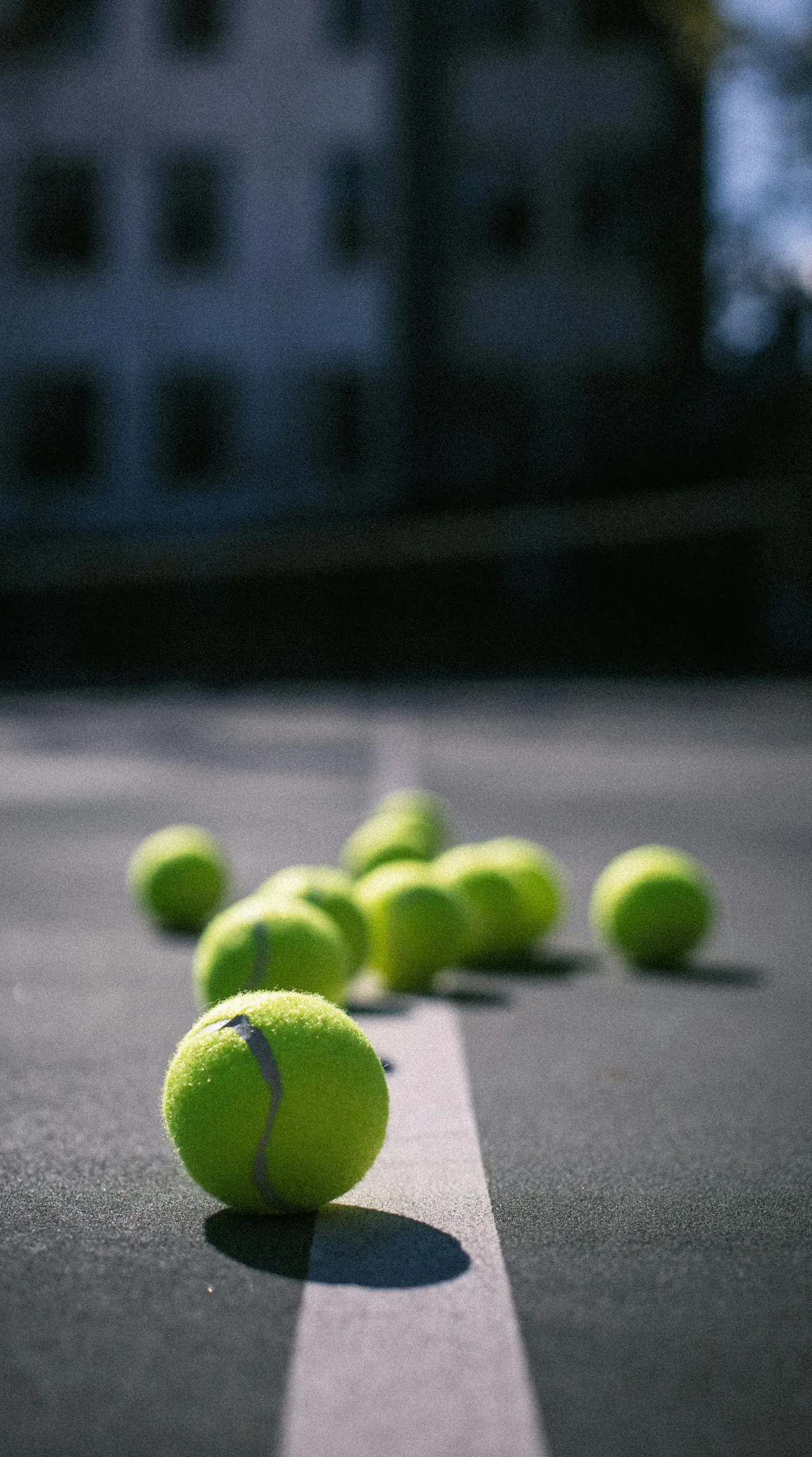 Padel balls on a court line